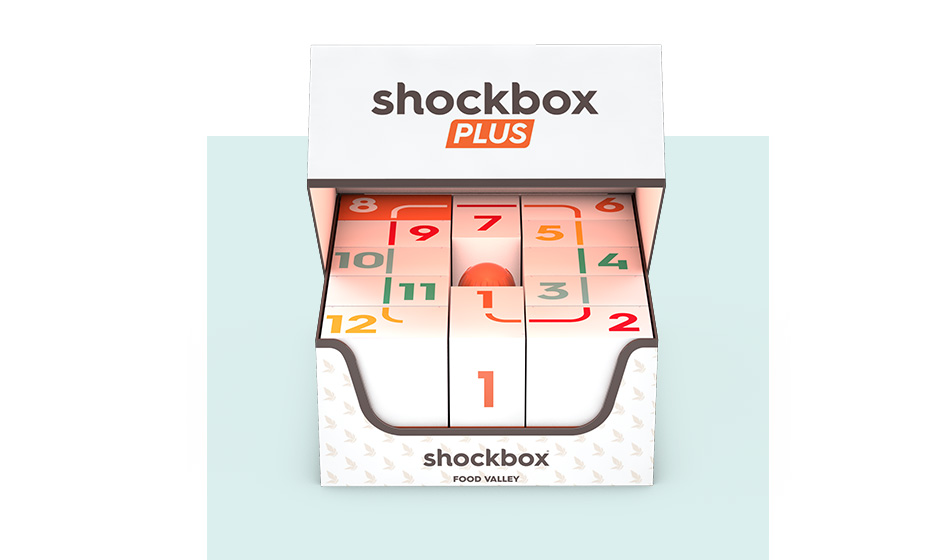 ShockBox Plus astucci